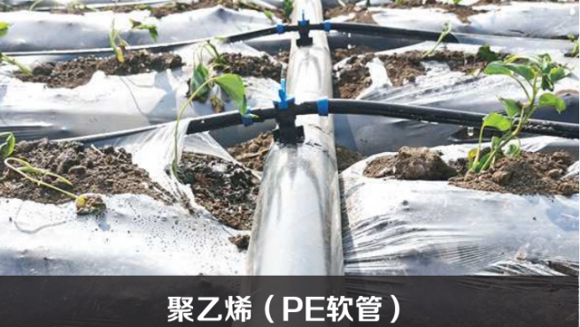 聚乙烯（PE軟管）