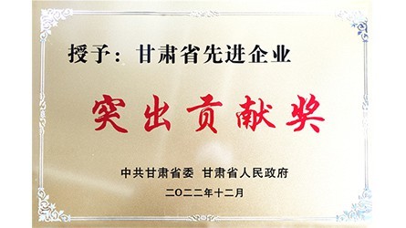 甘肅省先進(jìn)企業(yè)突出貢獻(xiàn)獎(jiǎng)