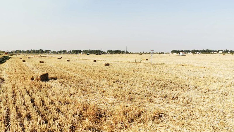 安徽省亳州市譙城區(qū)2021年高標(biāo)準(zhǔn)農(nóng)田建設(shè)EPC+O項(xiàng)目