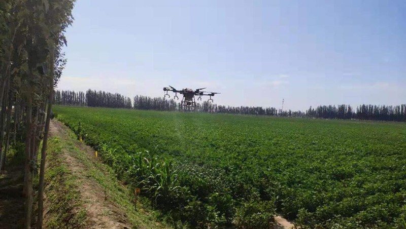 南疆地區(qū)沙雅縣渭干河灌區(qū)農(nóng)業(yè)高效節(jié)水增收試點(diǎn)項(xiàng)目