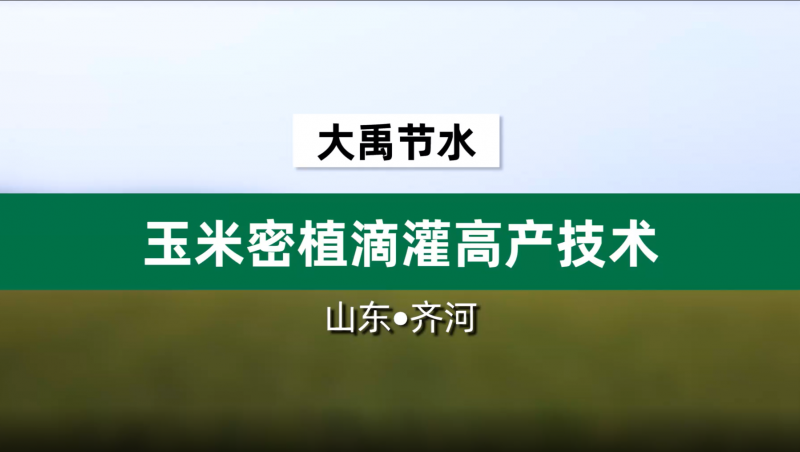 大禹節(jié)水玉米密植滴灌高產技術· 山東省齊河縣豆腐窩灌區(qū)