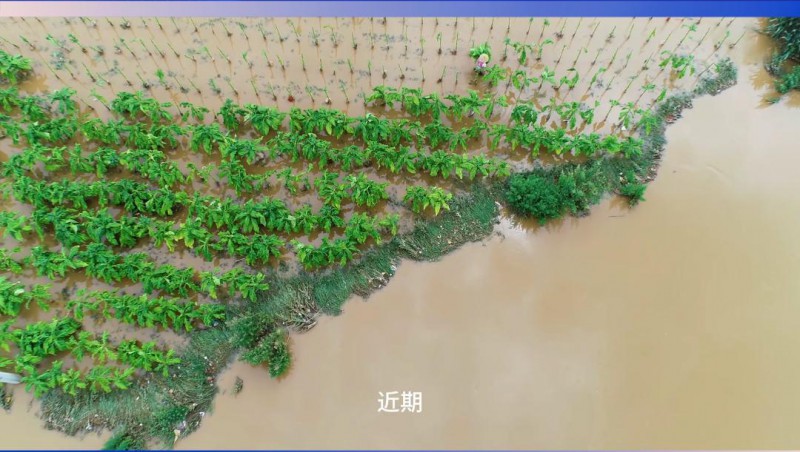 大禹節(jié)水：嚴(yán)陣以待，共筑防汛抗旱屏障