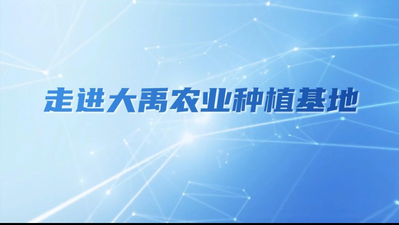 大禹農業(yè)| 多元化種植基地矩陣，探索農業(yè)現代化新路徑