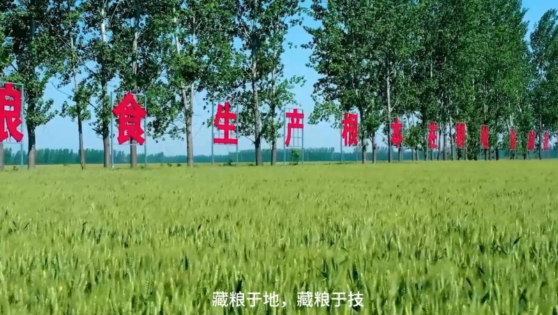  大禹節(jié)水：破解高標(biāo)準(zhǔn)農(nóng)田建設(shè)難題，扛牢糧食安全重?fù)?dān)，以科技與責(zé)任交出了一份創(chuàng)新答卷。