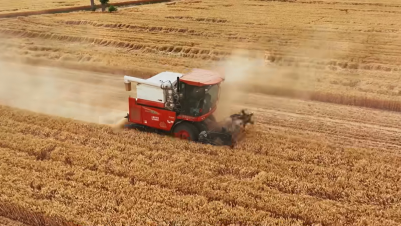 大禹節(jié)水鹿邑高標(biāo)準(zhǔn)農(nóng)田建設(shè)