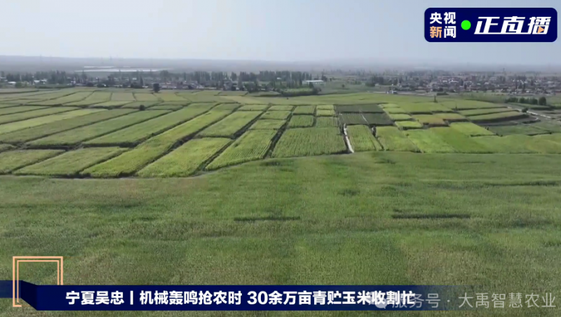  【媒體聚焦】大禹節(jié)水以智慧農(nóng)業(yè)技術(shù)，為 30 萬畝青貯玉米豐收 “添動力”